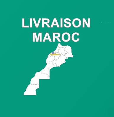 logo-livraison maroc